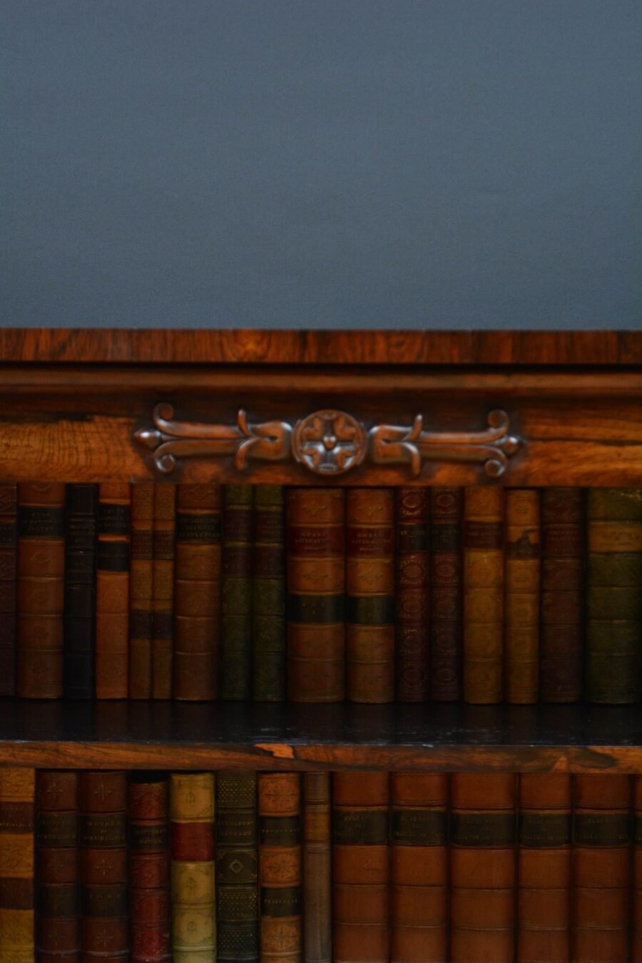 English Regency Low Open Bookcase in Rosewood - Image 11