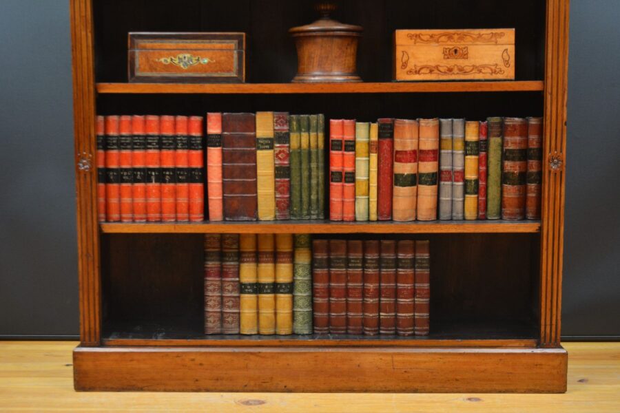 English Victorian Open Bookcase in Walnut - Image 8